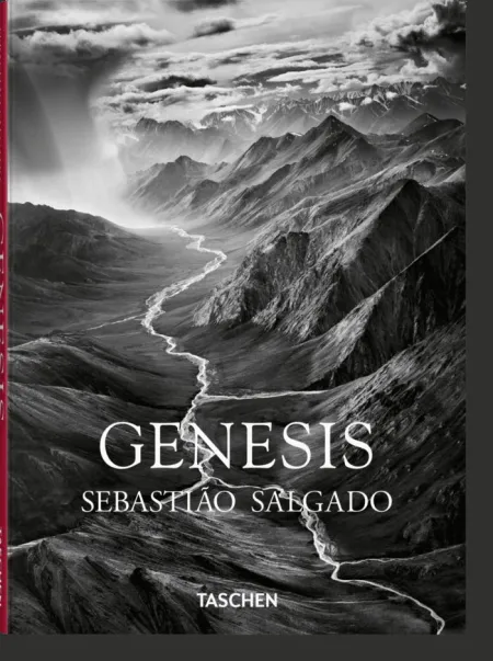 Salgado, Genesis