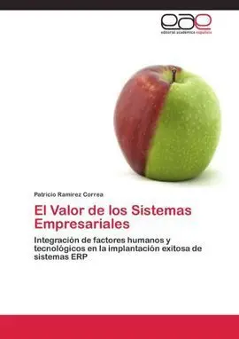 El Valor de los Sistemas Empresariales
