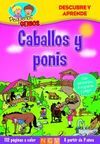CABALLOS Y PONIS