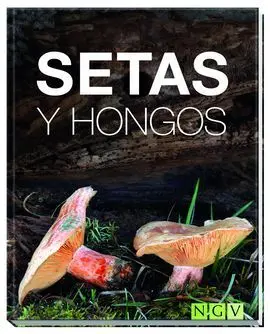 Setas y Hongos