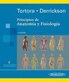 PRINCIPIOS DE ANATOMÍA Y FISIOLOGÍA