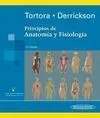 Principios de Anatomía y Fisiología