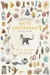 Gato Encerrado