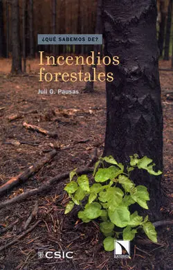 Incendios Forestales