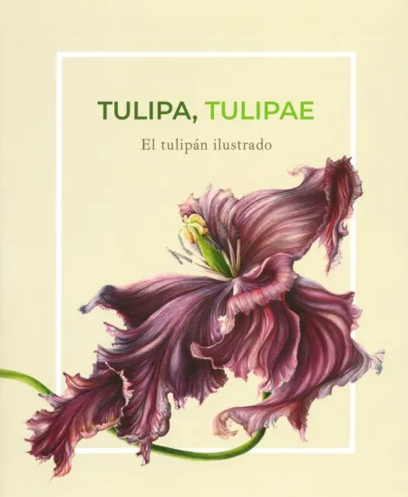 Tulipa Tulipae: el Tulipán Ilustrado