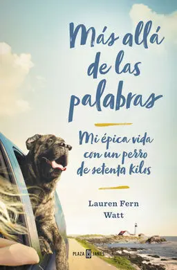 Más Allá de las Palabras