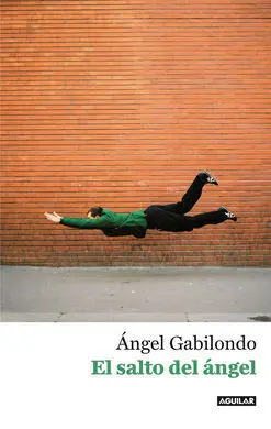 El Salto del Angel