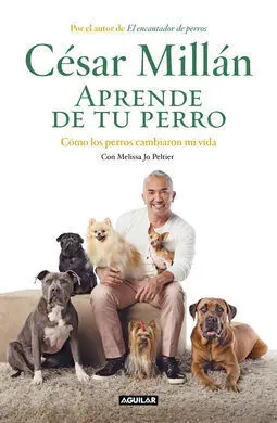 Aprende de tu Perro