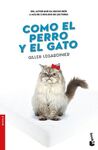 COMO EL PERRO Y EL GATO