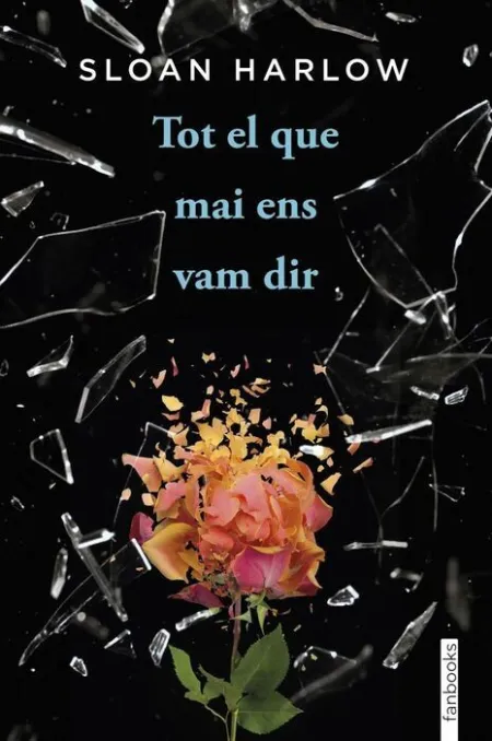 Tot el que Mai Ens Vam Dir