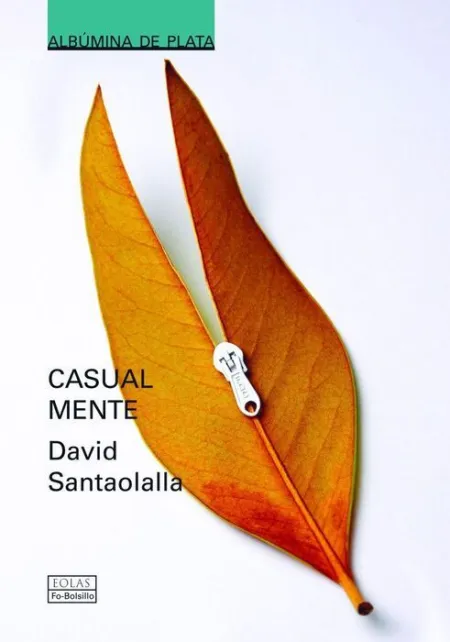 Casual Mente