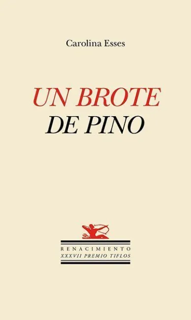Un Brote de Pino
