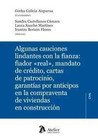 Algunas Cauciones Lindantes con la Fianza Fiador Real, Mandato de Credito, Carta de Patrocinio, Garantias por Anticipos en la Compraventa de Viviendas en Construccion