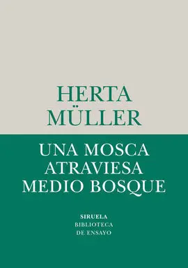 Una Mosca Atraviesa Medio Bosque
