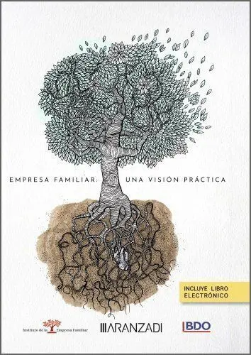 Empresa Familiar: una Visión Práctica