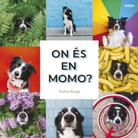 On Es en Momo?