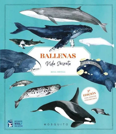 Ballenas Vida Secreta + Póster