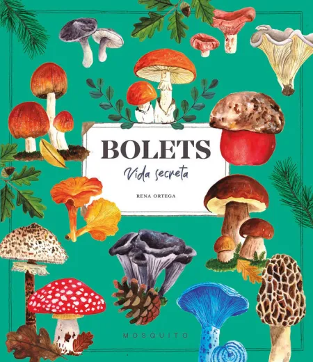 Bolets Vida Secreta
