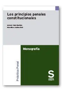 Los Principios Penales Constitucionales