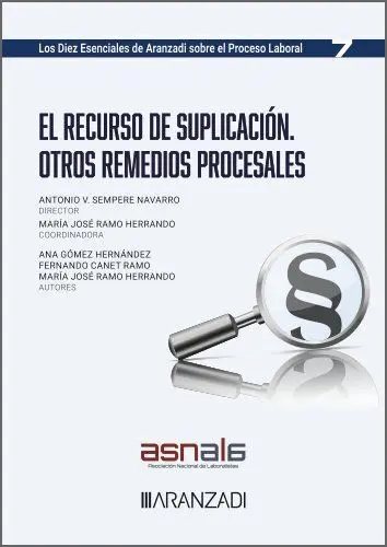 El Recurso de Suplicación: Otros Remedios Procesales