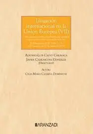 Litigación Internacional en la Unión Europea (Vii)