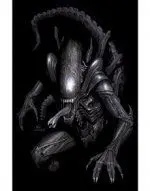 Aliens N. 1