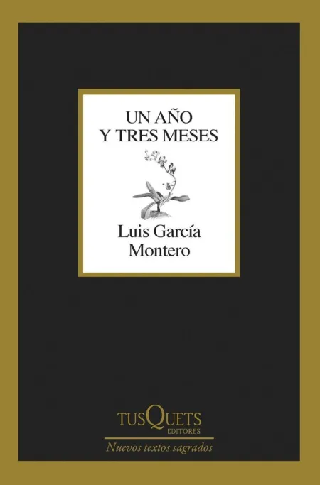 Un Año y Tres Meses