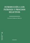 INTRODUCCIÓN A LOS PATRONES Y PROCESOS DELICTIVOS