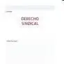 Derecho Sindical (4ª Edicion)