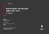 ESQUEMAS DE INTRODUCCIÓN AL DERECHO CIVIL TOMO LVI