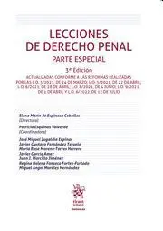 Lecciones de Derecho Penal. Parte Especial