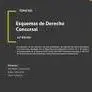 Esquemas de Derecho Concursal
