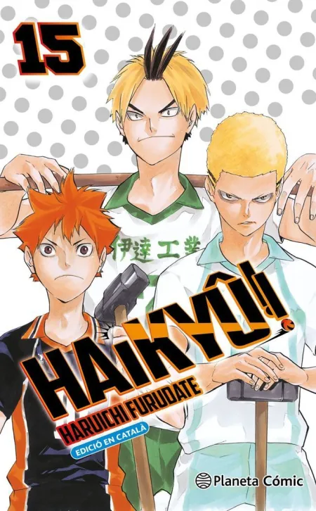 Haikyu!! N. 15/45 (Catalá)