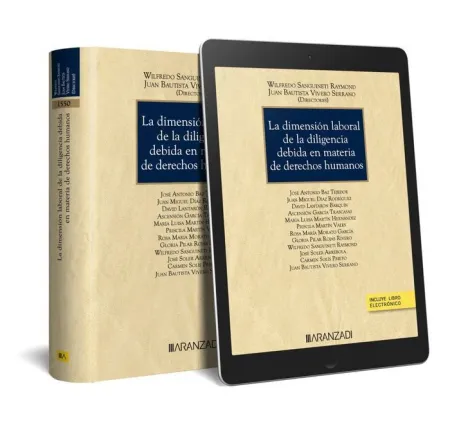 La Dimensión Laboral de la Diligencia Debida en Materia de Derechos Humanos (Pap