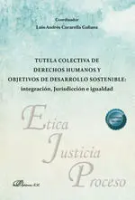 Tutela Colectiva de Derechos Humanos y Objetivos de Desarrollo Sostenible: Integ