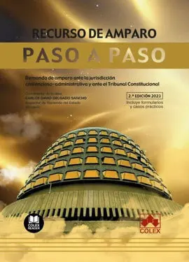 Recurso de Amparo. Paso a Paso 2023.