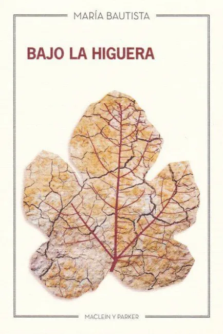Bajo la Higuera