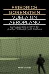 VUELA UN AEROPLANO