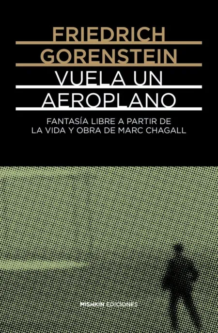 Vuela un Aeroplano
