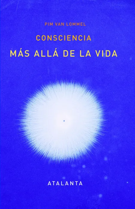 Consciencia Más Allá de la Vida