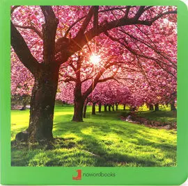 Primavera Carton