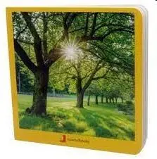 Verano Carton