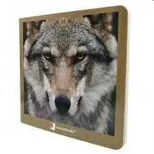 Animales Salvajes 2 Carton