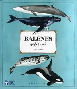 Balenes Vida Secreta