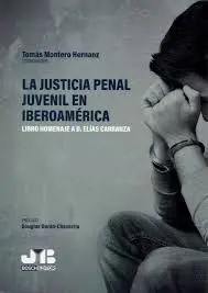 Justicia Penal Juvenil en Iberoamérica.