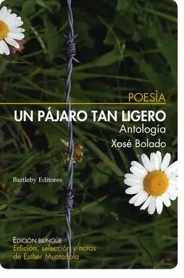 Un Pajaro Tan Ligero
