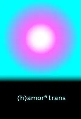 (H)Amor 6 Trans