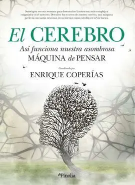 El Cerebro
