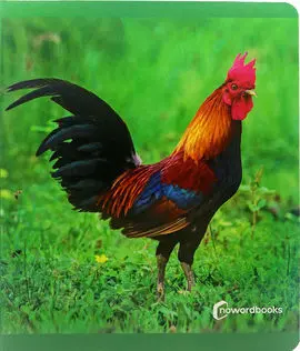 Animales de Granja Grande