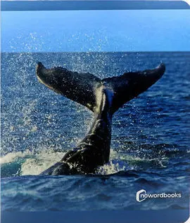 Animales del Mar Grande